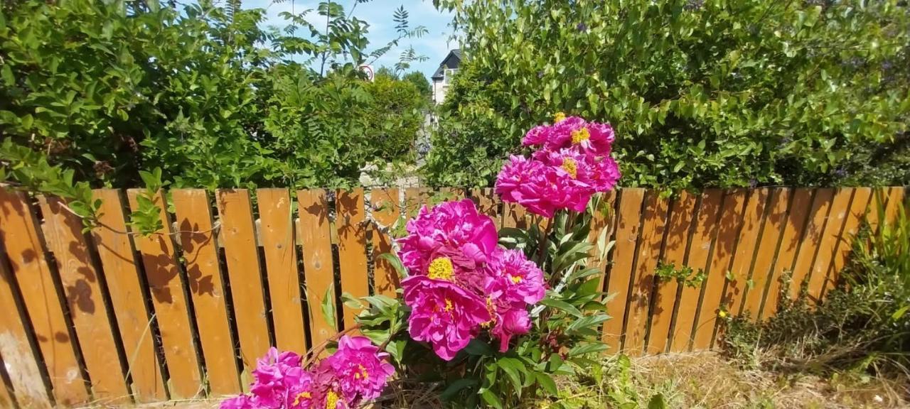 Ashley Home, Close To Centre With Free Parking